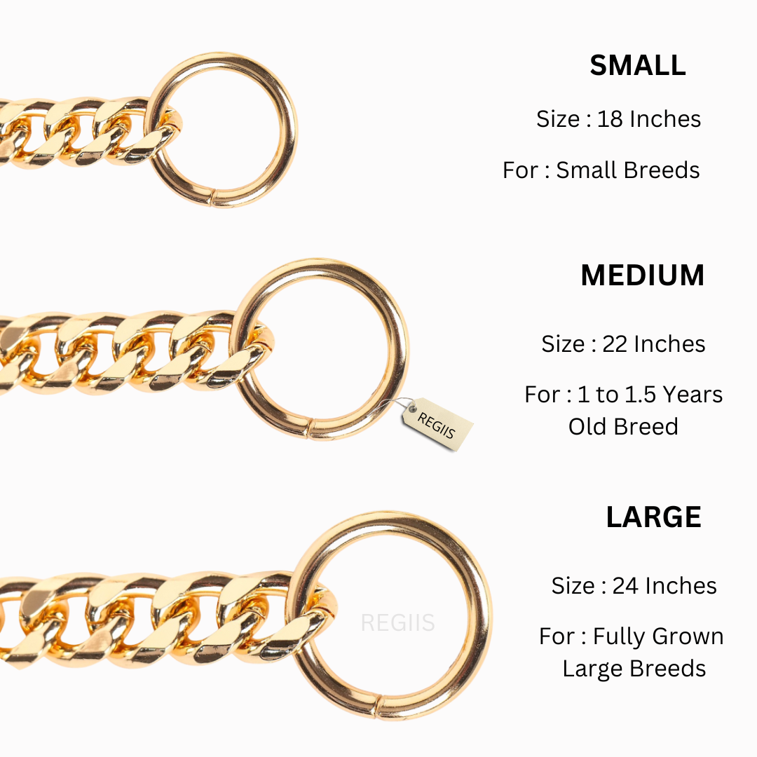 Pawdles gold collar chain for dogs | Dog training collar