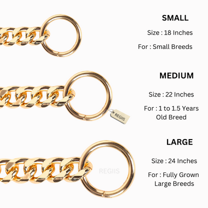 Pawdles gold collar chain for dogs | Dog training collar
