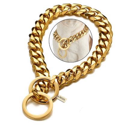 Pawdles gold collar chain for dogs | Dog training collar